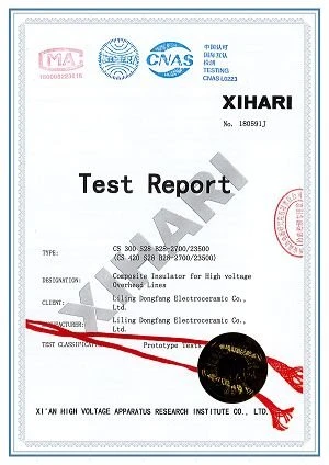 10.750kV Composite insulator test report